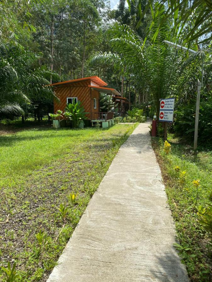 Khaosok Bamboo Huts Resort Khao Sok National Park Екстер'єр фото